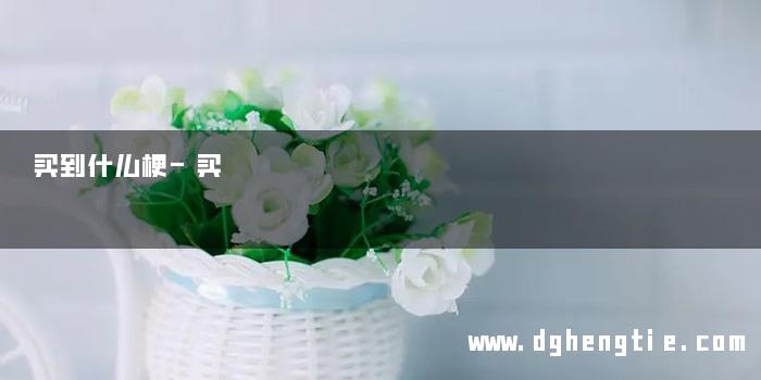 买到什么梗-买   